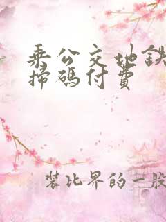 乘公交地铁怎么扫码付费