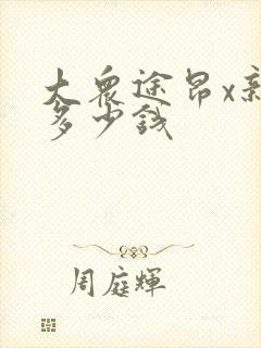 大众途昂x新款多少钱
