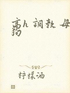 高h 调教 母狗