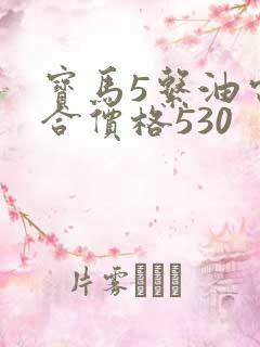 宝马5系油电混合价格530