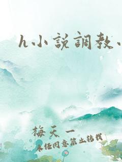h小说调教小说