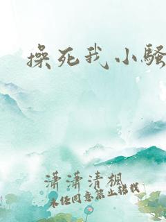 操死我小骚货