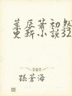 叶辰萧初然最快更新小说3283章免费阅读