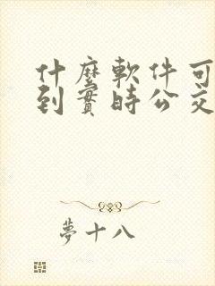 什么软件可以看到实时公交