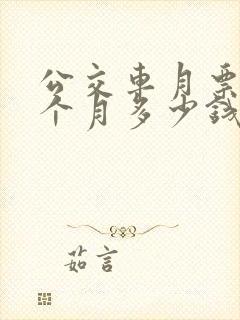 公交车月票卡一个月多少钱