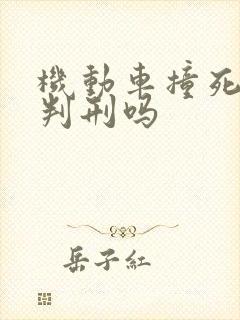 机动车撞死人会判刑吗