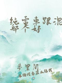 纯电车跟混动车哪个好 纯电车跟混动车哪个好