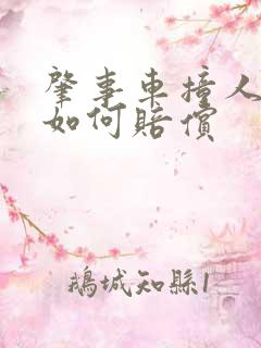 肇事车撞人全责如何赔偿