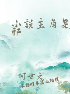 小说主角是柳无邪