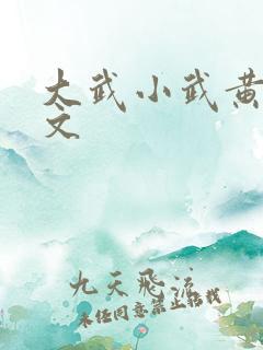 大武小武黄蓉原文