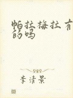 帕拉梅拉有纯电的吗