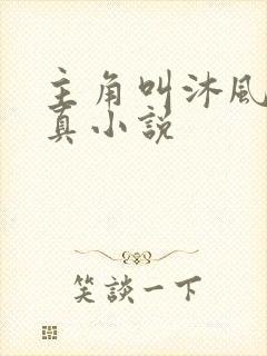 主角叫沐风的修真小说