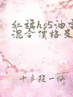 红旗hs5油电混合价格及图片