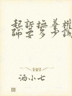 起诉抚养权请律师要多少钱