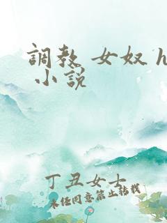 调教 女奴 h 小说 调教 女奴 h 小说