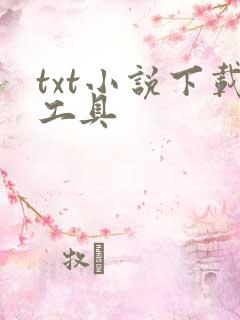 txt小说下载工具