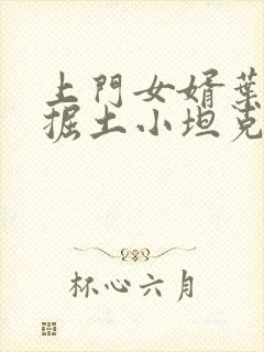 上门女婿叶辰 掘土小坦克