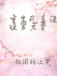 重生我真没想当暖男免费 重生我真没想当暖男免费