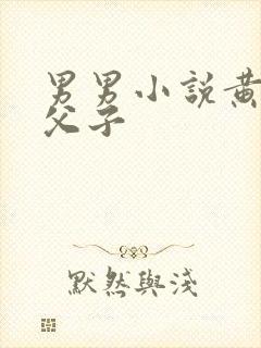 男男小说黄双性父子