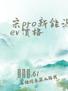 宋pro新能源ev价格