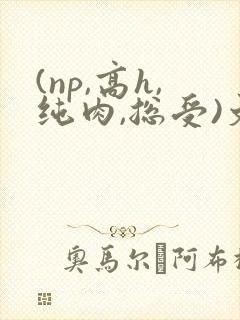 (np,高h,纯肉,总受)文 (np,高h,纯肉,总受)文