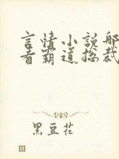 言情小说哪些好看霸道总裁
