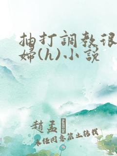 抽打调教很虐贱妇(h)小说