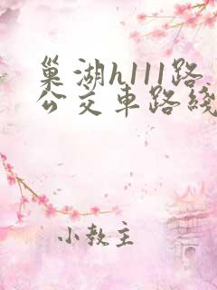 巢湖h111路公交车路线