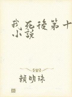 我死后第十一年小说