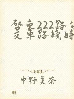 启东222路公交车路线时间表