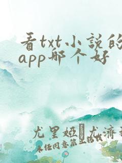 看txt小说的app哪个好