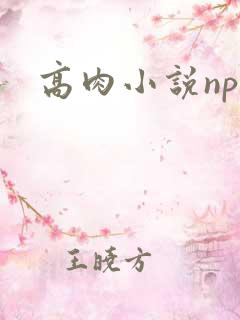 高肉小说np