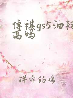 传祺gs5油耗高吗
