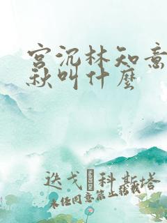 宫沉林知意宋宛秋叫什么