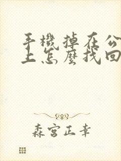 手机掉在公交车上怎么找回 手机掉在公交车上怎么找回