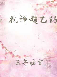 戏神赵乙的结局