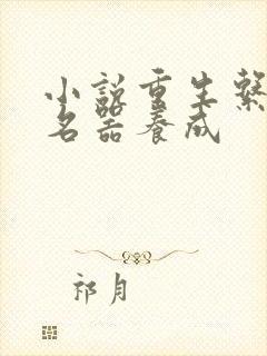 小说重生系统之名器养成