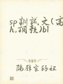 sp训诫文(高h,调教)bl