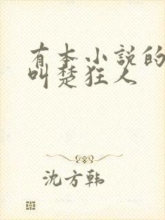 有本小说的主角叫楚狂人
