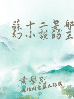 苏十二是哪部玄幻小说的主角