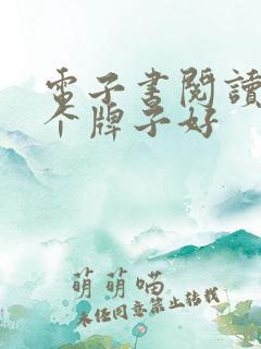 电子书阅读器哪个牌子好