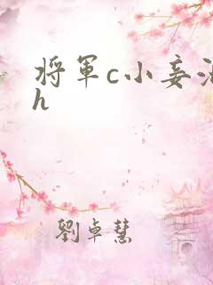 将军c小妾泄欲h