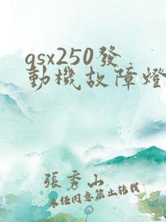gsx250发动机故障灯亮怎么解决