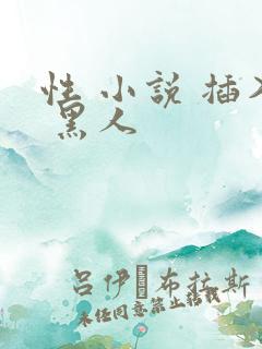 性 小说 插入 黑人