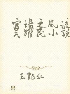 官场之风流医少吴跃民小说