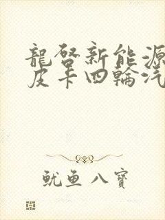 龙启新能源电动皮卡四轮汽车价格