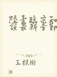 陆青临宋知薇小说最新章节更新