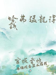 哈弗猛龙得多少钱