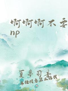 啊啊啊不要高hnp
