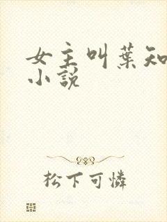 女主叫叶知意的小说